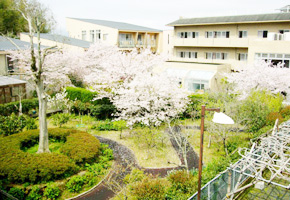 写真：外観・風景